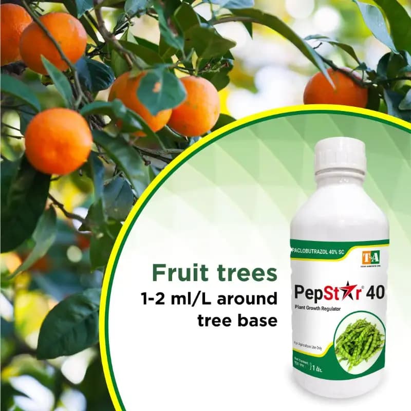 Titan Agritech PEP STAR 40 Paclobutrazol 40% SC Plant Growth Regulator, Effective For Mango And Fruit Trees - Image 7