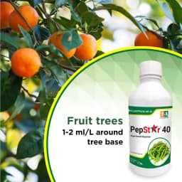 Titan Agritech PEP STAR 40 Paclobutrazol 40% SC Plant Growth Regulator, Effective For Mango And Fruit Trees 7