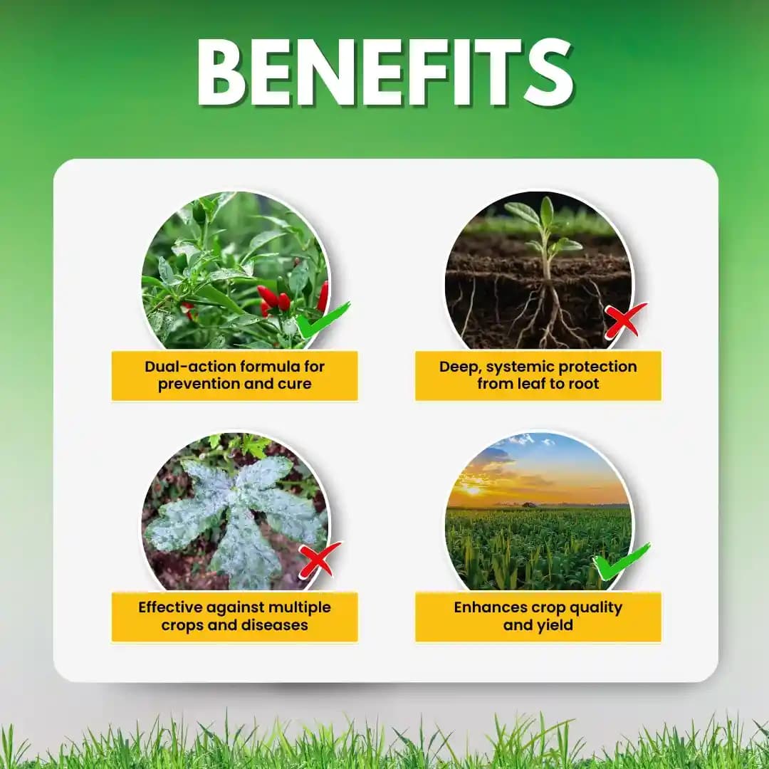 Katyayani PLANTIVO Tebuconazole 50% + Trifloxystrobin 25% WG Fungicide, Dual-Action Control Fungal Diseases - Image 4