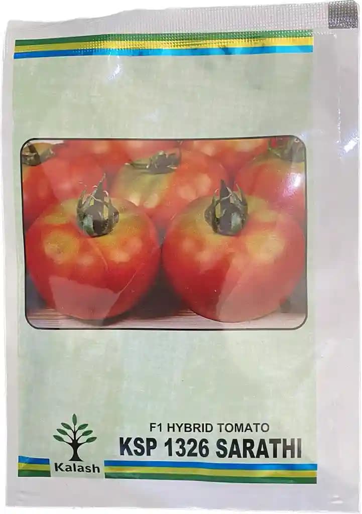 Kalash KSP 1326 Sarathi Hybrid Tomato Seeds, Tolerant to TLCV and Alterneria