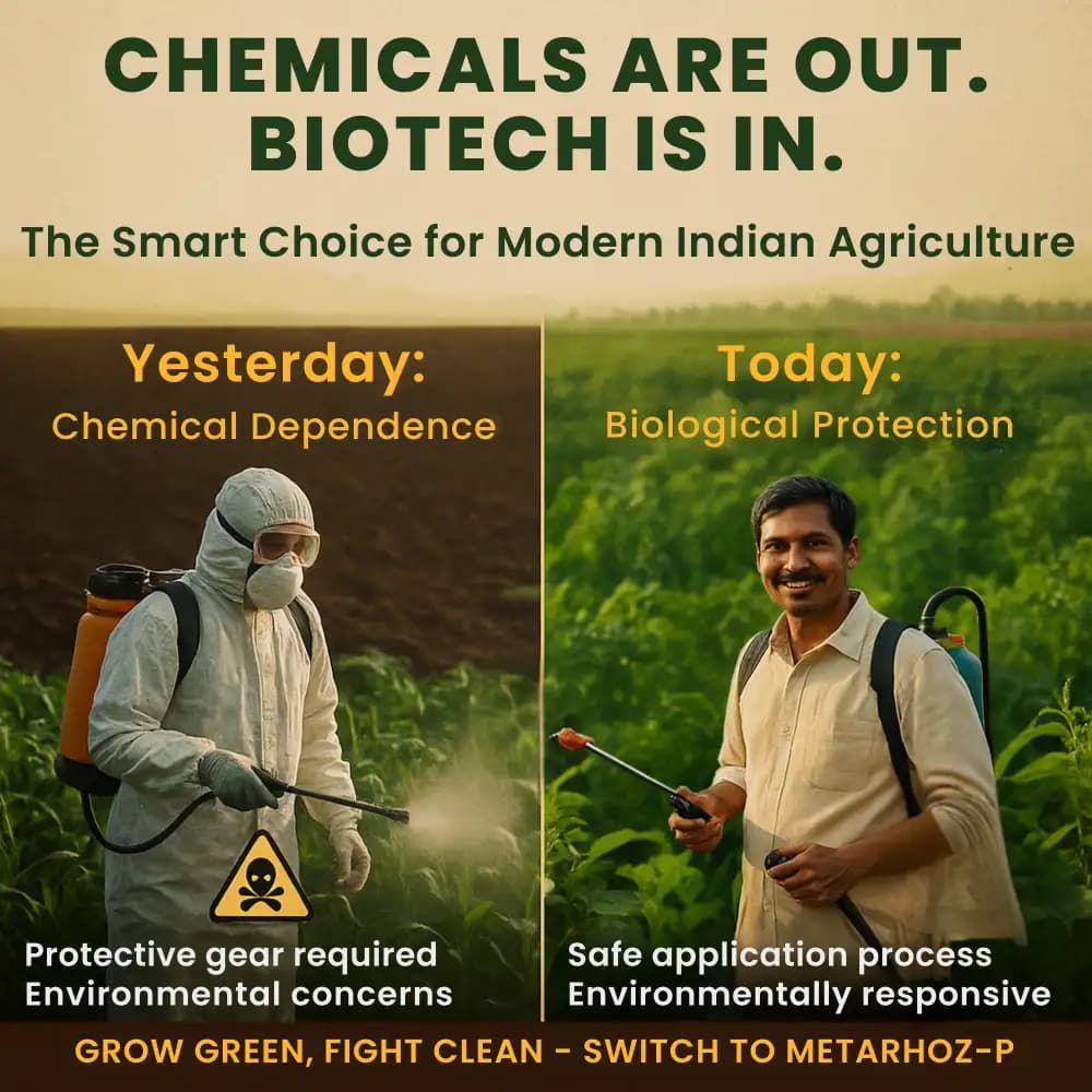 Utkarsh Metarhoz-P (Metarhizium Anisopliae 1% W.P.) Bio Pesticide, Controls Effective Pests and Improves Soil & Crop Health - Image 3