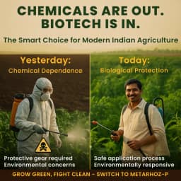 Utkarsh Metarhoz-P (Metarhizium Anisopliae 1% W.P.) Bio Pesticide, Controls Effective Pests and Improves Soil & Crop Health 3