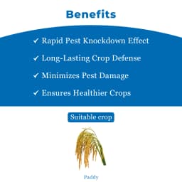 विलोवुड इनोवेक्सिया इमिडाक्लोप्रिड 6% + लैम्ब्डा साइहेलोथ्रिन 4% एसएल, तना छेदक, हिस्पा, प्लांट होपर और गुंधी बग के लिए सबसे अच्छा 4
