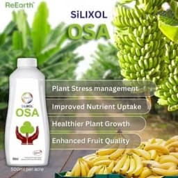 Privi Silixol OSA 2.0% Biological Fertilizer, Enhancing Crop Quality, Source Of Bioavailable Silicon For Better Plant Growth 3