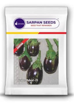 Sarpan F1 Hybrid Brinjal Seeds, Brinjal-25, High Yielding, Best In Germination 2