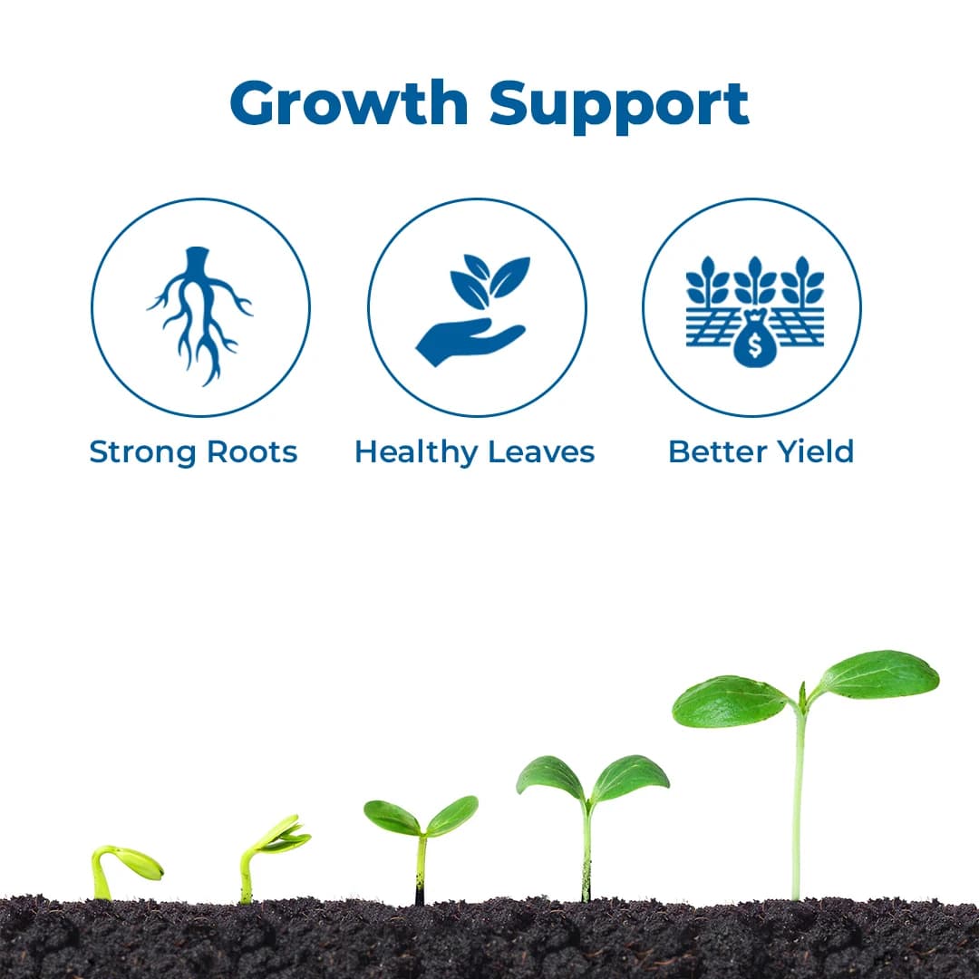 Easykrishi GreeNgrowth Plus Plants Growth Promoter & Nutrients Enhancer for All Types of Plants - Image 3
