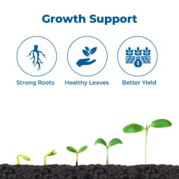 Easykrishi GreeNgrowth Plus Plants Growth Promoter & Nutrients Enhancer for All Types of Plants 3
