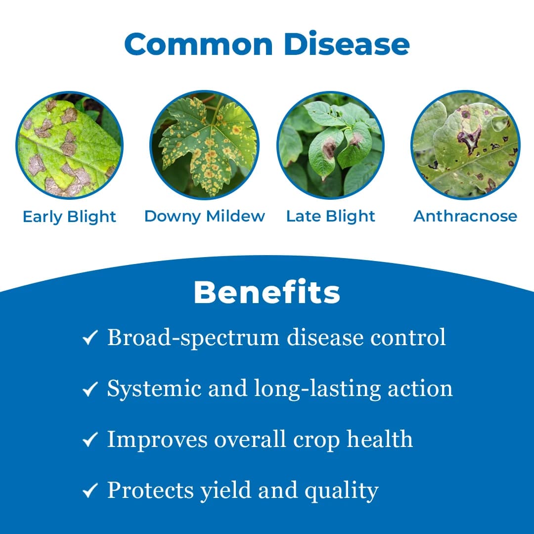Adama Mirador Azoxystrobin 23% SC, Unique and Wide Spectrum Disease Control Like Grapes, Potatoes, Chilies, Tomatoes etc. - Image 3