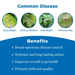 Adama Mirador Azoxystrobin 23% SC, Unique and Wide Spectrum Disease Control Like Grapes, Potatoes, Chilies, Tomatoes etc. 3