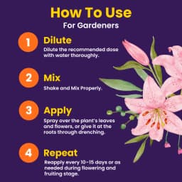 उत्कर्ष एनओपी 13:00:45 (पोटेशियम नाइट्रेट) केएनओ3 (100% पानी में घुलनशील समूह उर्वरक), बूंद से सिंचाई के लिए सर्वश्रेष्ठ 7