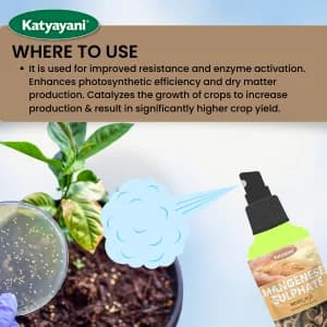 Katyayani Manganese Sulphate 30.5% Essential Micronutrient Fertilizer For Optimal Plant Nutrition and Growth - Image 4
