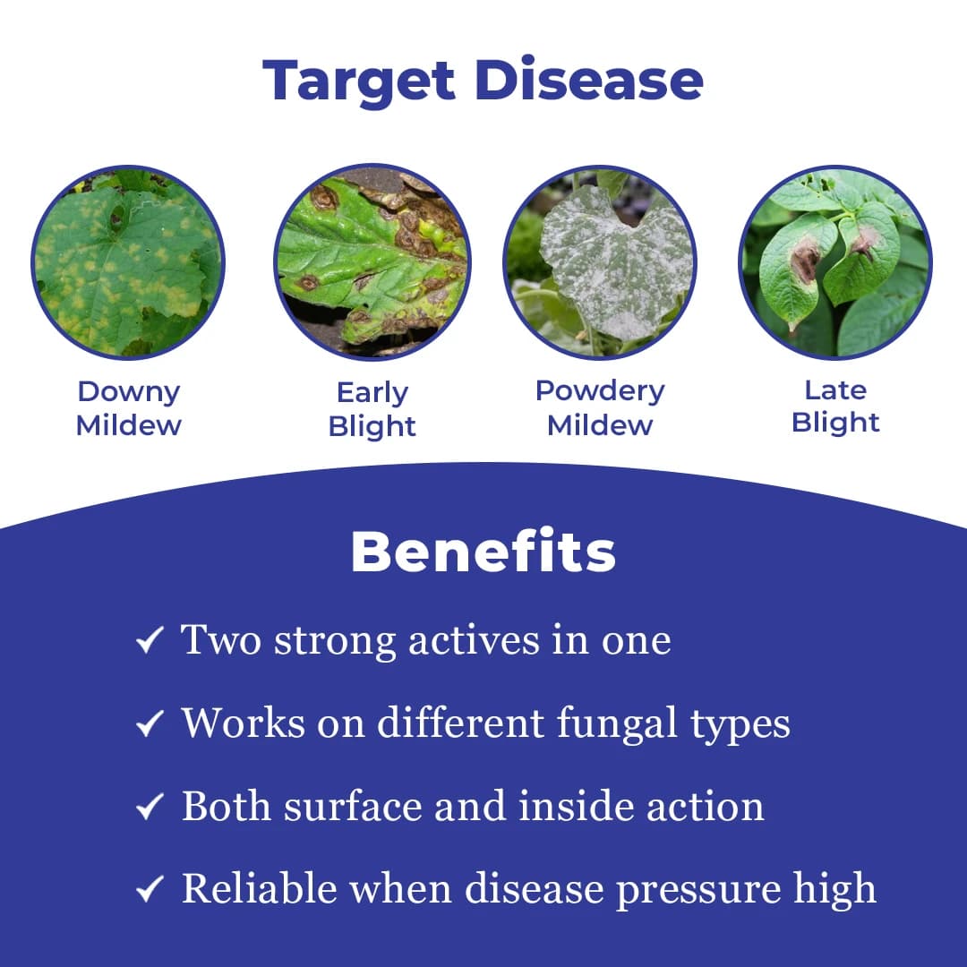 EBS Punch Fungicide - Captan 70% + Hexaconazole 5% WP - Image 4