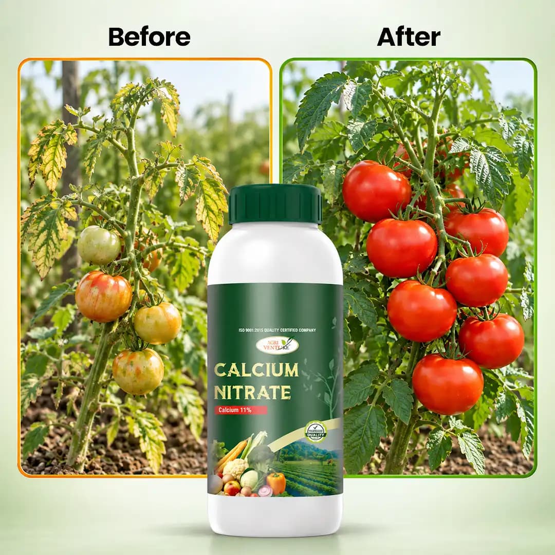 Agriventure Calcium Nitrate, Calcium 11%, 100% Water Soluble Fertilizer, Used In All Crops - Image 5