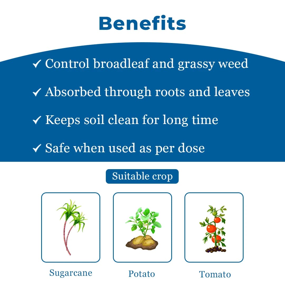 Tata Rallis Tata Metri Mertibuzin 70% WP Selective Herbicide Used to Control Annual Grasses. - Image 4