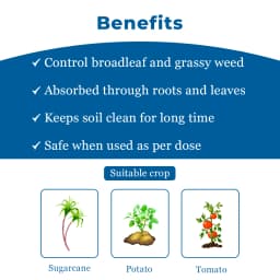 Tata Rallis Tata Metri Mertibuzin 70% WP Selective Herbicide Used to Control Annual Grasses. 4
