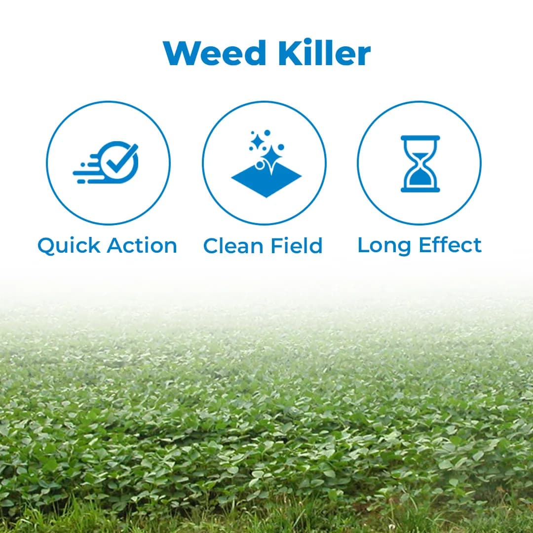 BACF Mox Paraquat Dichloride 24% SL Herbicide , Target To Grassy And Broadleaved weeds and other weeds pests - Image 3