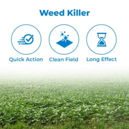 BACF Mox Paraquat Dichloride 24% SL Herbicide , Target To Grassy And Broadleaved weeds and other weeds pests 3