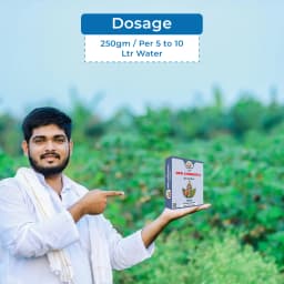 ईबीएस एनपीके कंसोर्टिया जैव उर्वरक, में जीवाणु होते हैं जो वातावरण से नाइट्रोजन और फास्फोरस को ठीक करते हैं, पौधों और बगीचे के लिए उपयोगी 5