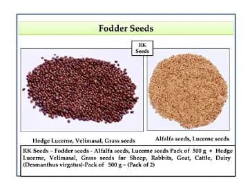 RK Seeds Combo Of Alfalfa seeds, Lucerne seeds And Hedge Lucerne Seeds, Cab Be used as animal fodder. - Image 2