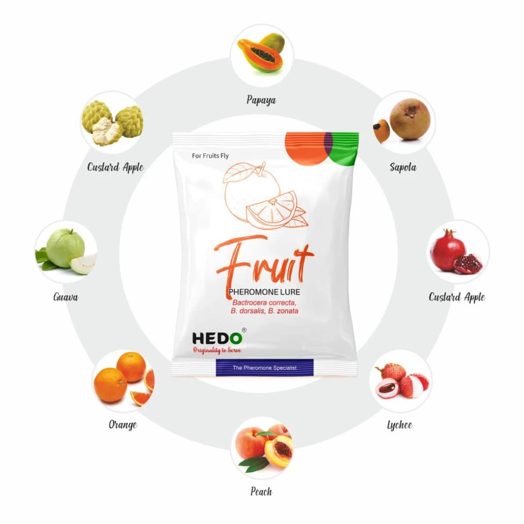 HEDO Fruit Fly Trap And Fruit Fly Lure (Bactrocera Correcta, Bactrocera Zonata, Bactrocera Dorsalisa) Control Fruit Fly In All Fruits - Image 3