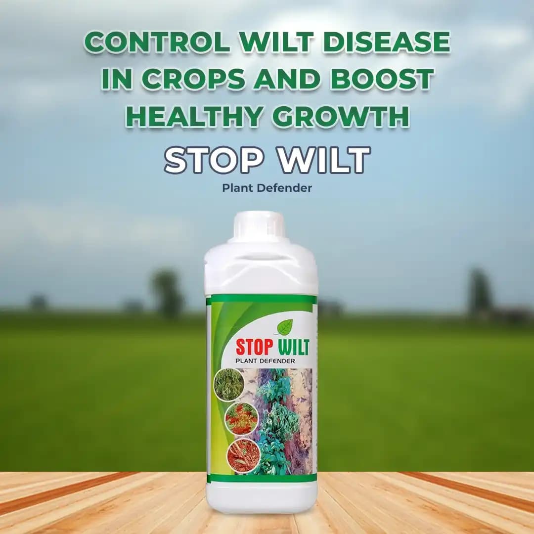 Stop Wilt Controlling Fungal, Bacterial and Nematicidal Infection Mainly Root In System, Subsequently Improves the Growth of the Plant - Image 2