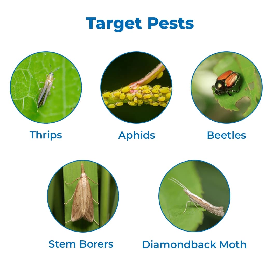 Gharda Quartz Insecticide - Image 3