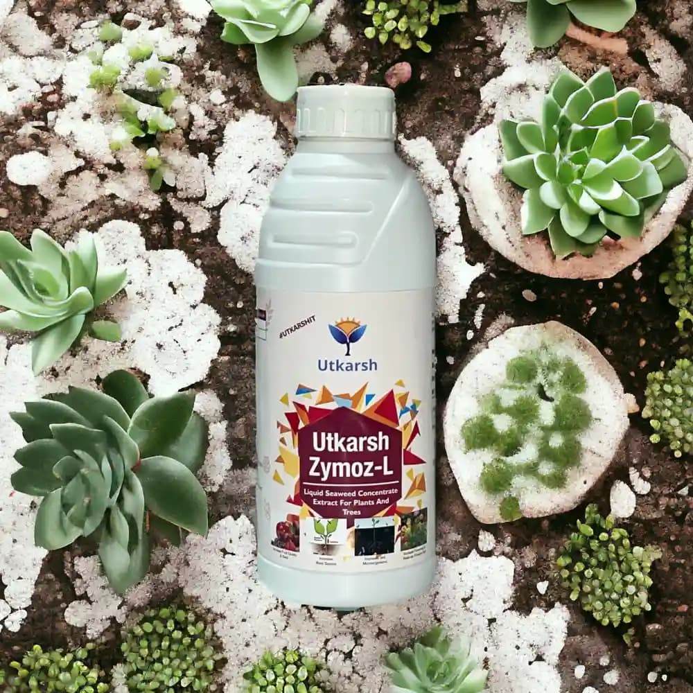 Utkarsh Zymoz-L Seaweed Concentrate Extract Biostimulant, Fertilizer For Plants Home Garden And Trees - Image 5