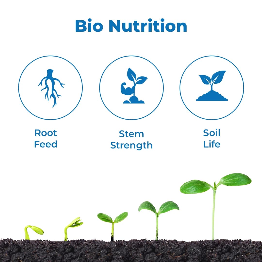 जीवाणु फॉस्फेट घुलनशील जीवाणु जैव उर्वरक, तने की ताकत बढ़ाएँ, प्रभावी जीवाणु का मजबूत संयोजन। - Image 3