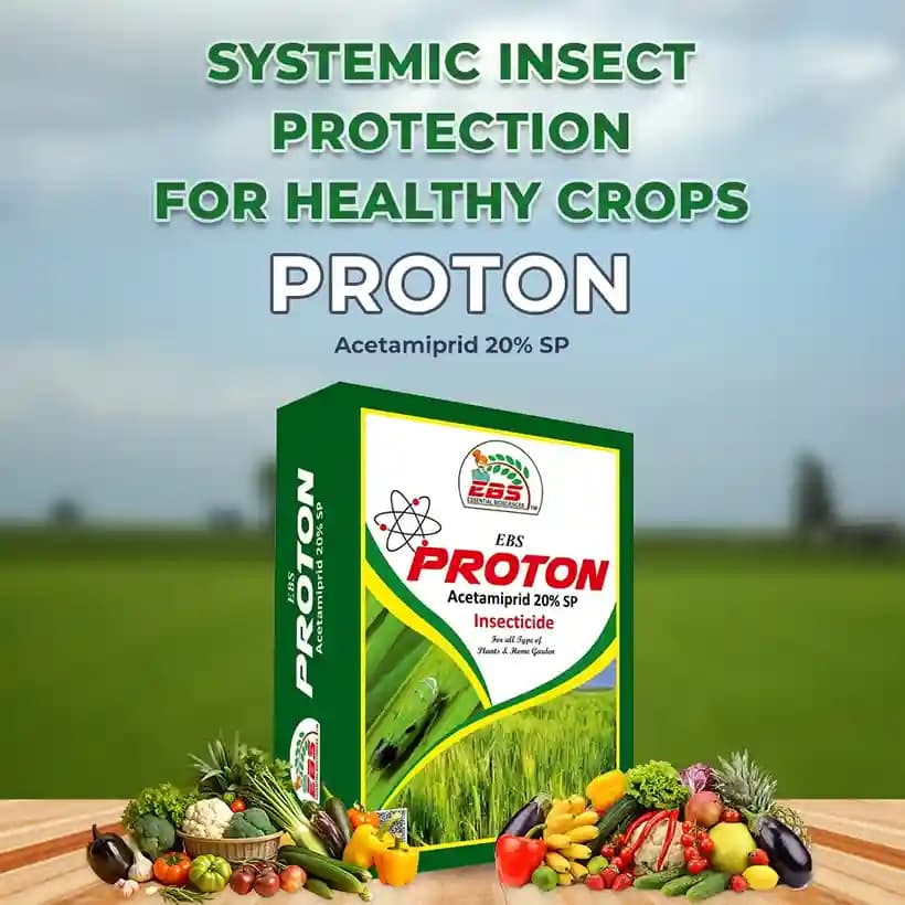 EBS Proton Acetamiprid 20% SP Systemic Insecticide, Best Used for Cotton, Vegetable, And Fruit Crops - Image 2