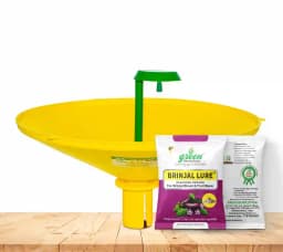 Water Pheromone Trap with Brinjal Lure (Leucinodes Orbonalis) For Brinjal Fruit and Shoot Borer Insect. 6