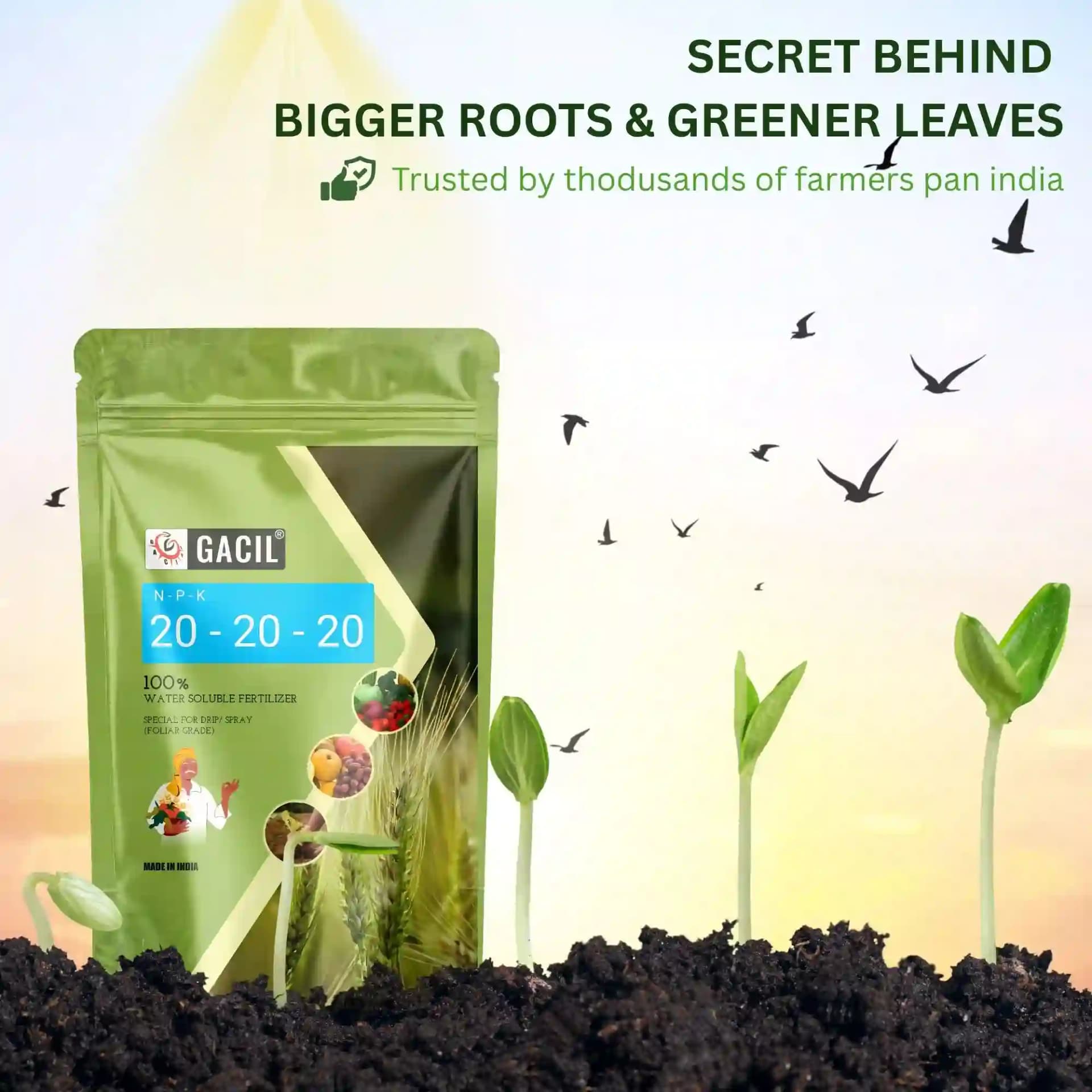 GACIL NPK 20:20:20 Water Soluble Fertilizer Balanced Plant Growth Booster For Vegetables, Fruits, Flowers & Field Crops - Image 3