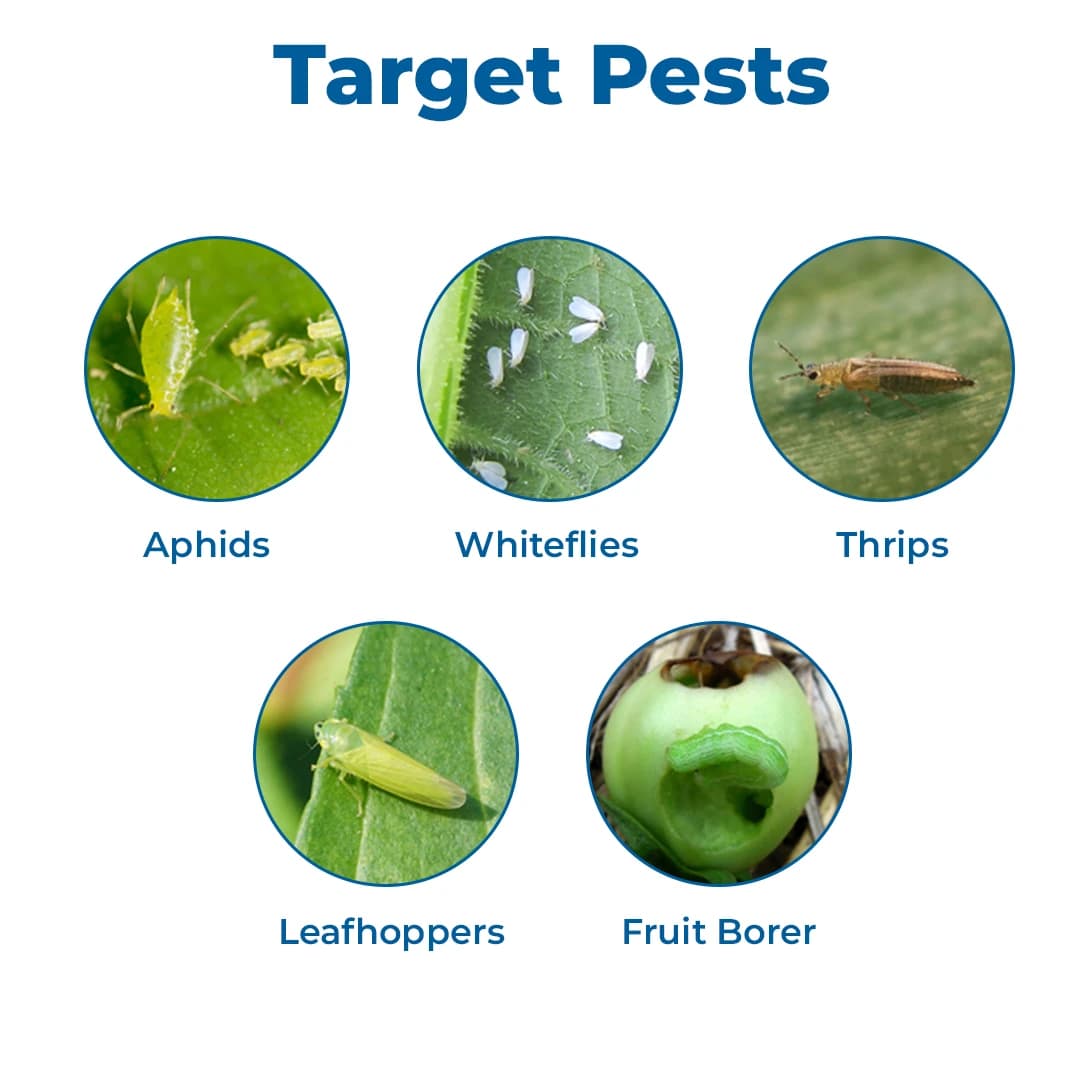 Adama Agadi SC Fipronil 5% SC Insecticides broad-spectrum insecticide, toxic by contact and ingestion. - Image 3