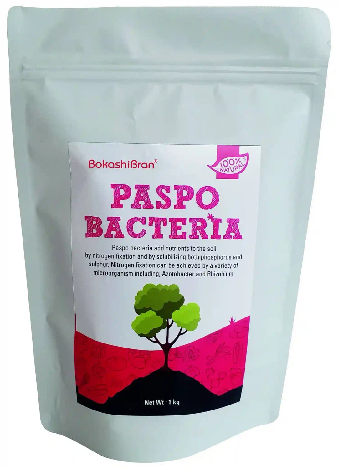 Paspo Bacteria Stimulates Plant Growth And Increase Crop Yield, Protection Against Drought and Some Soil-Borne Diseases
