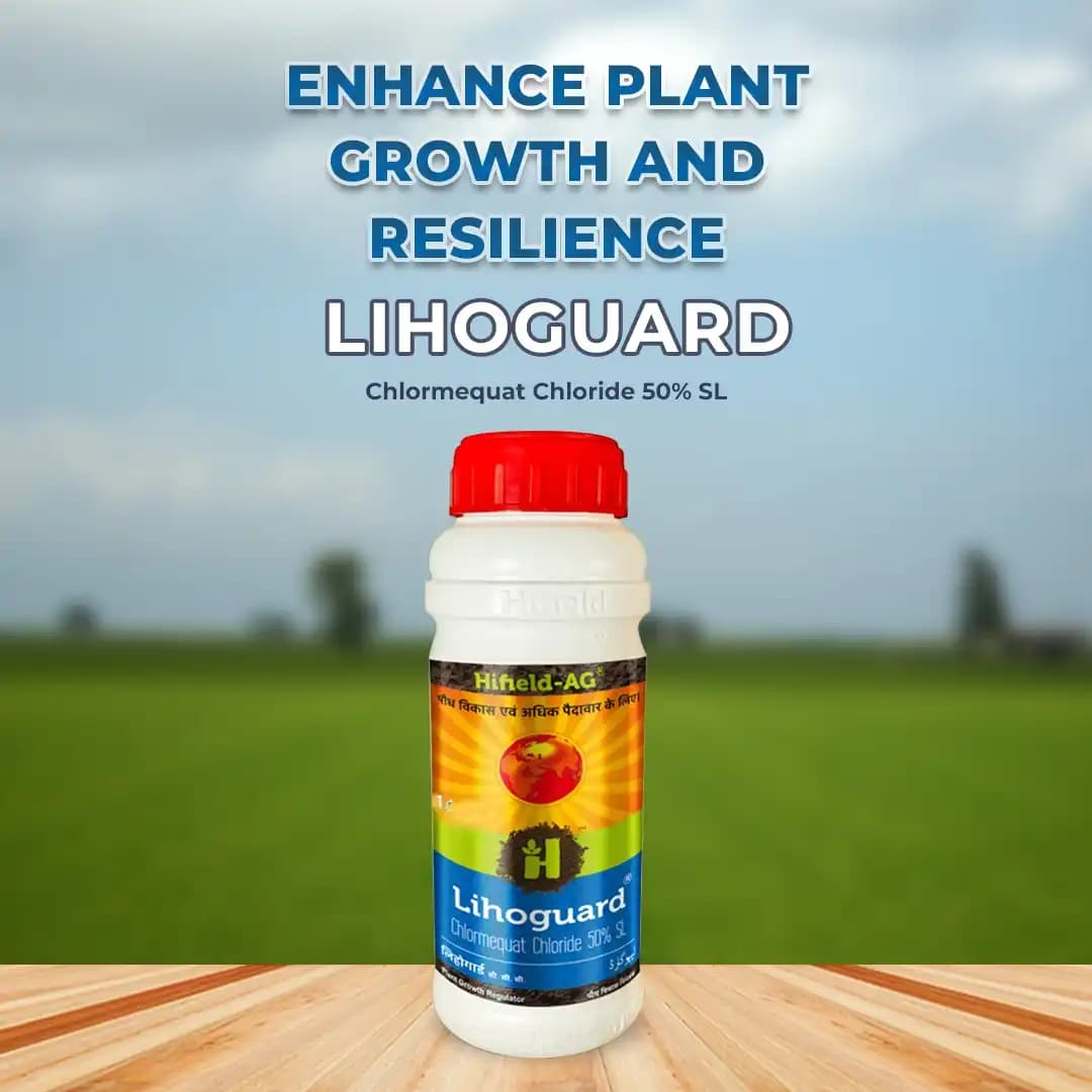 Lihoguard Chlormequat Chloride 50% SL, Widely Used In Agriculture For Boosting The Crop Yields. - Image 2
