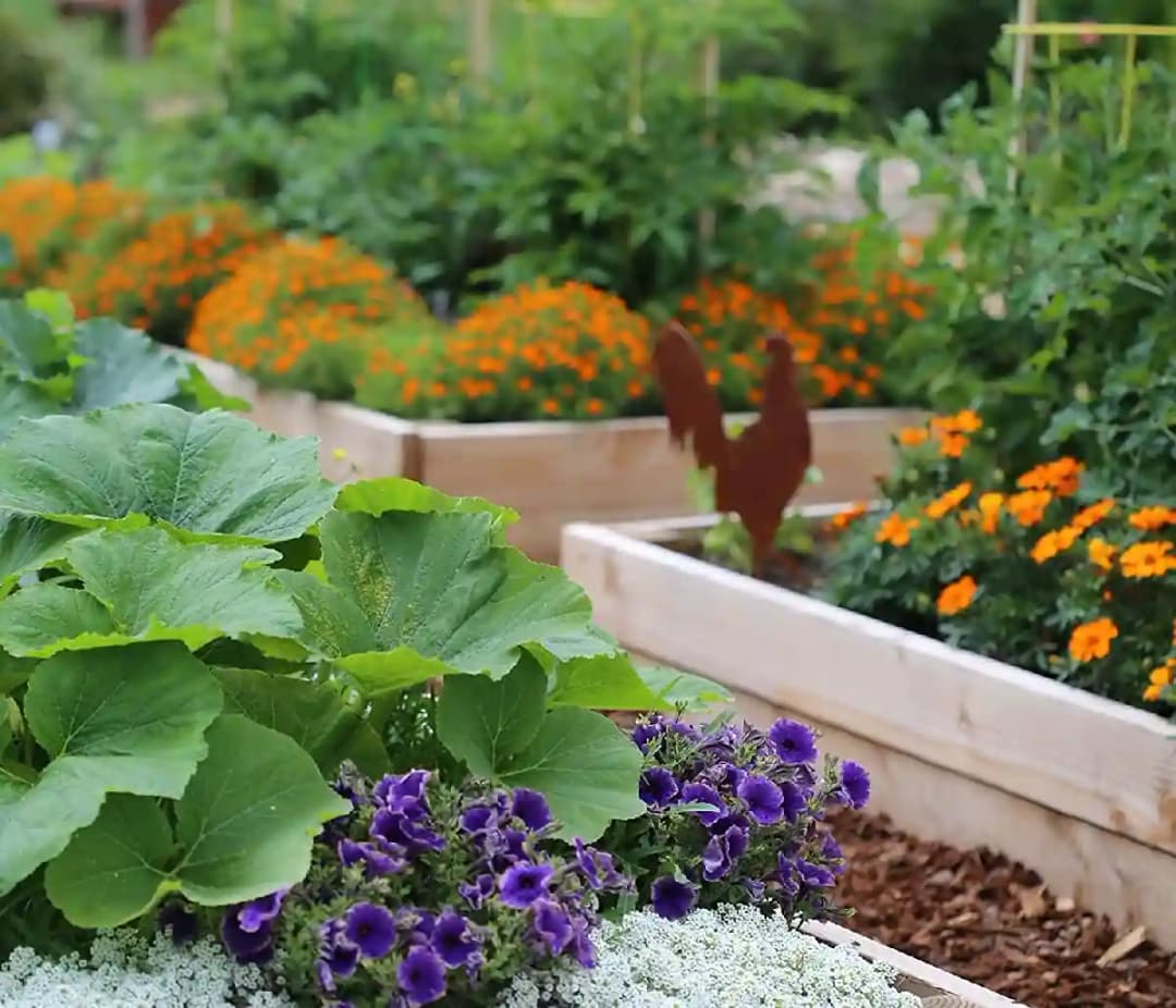 Siddhi Weed Mat 110 GSM Garden Weed Fabric Heavy-Duty Weed Block Gardening Mat Eco-Friendly Weed - Image 14