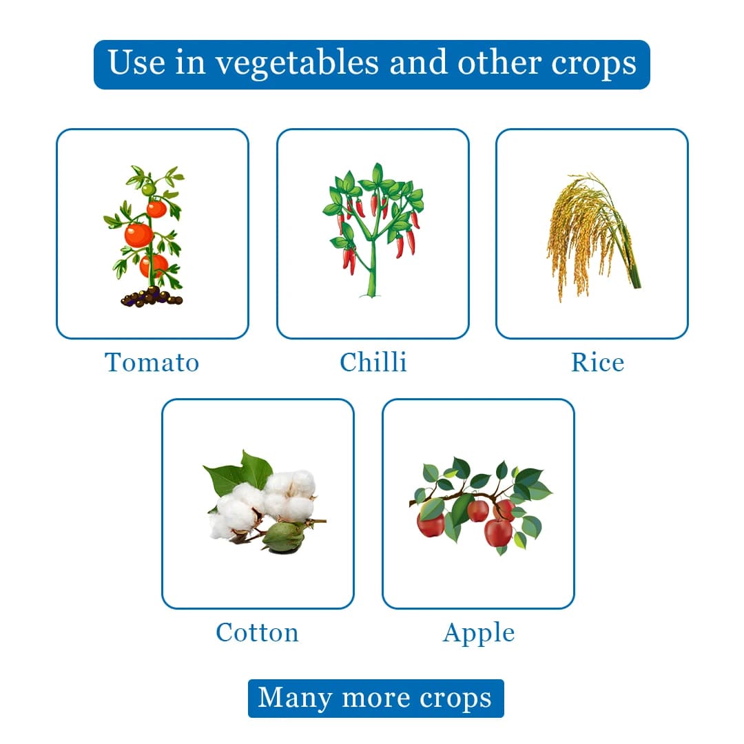 पीआई सनीपेब प्रोपिनेब 70% डब्ल्यूपी, निवारक फफूंदनाशक, संपर्क फफूंदनाशक, डाउनी मिल्ड्यू, अर्ली और झुलसा, पपड़ी रोग जैसे फफूंदी को नियंत्रित करता है - Image 4