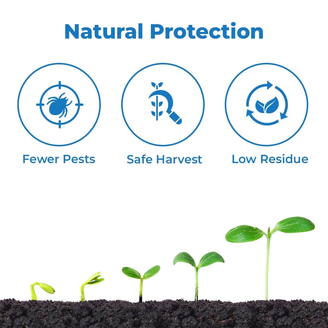 Pioneer Probio Neem Oil Extract For Plants - Image 3