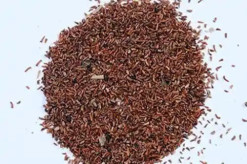 RK Seeds - Eucalyptus camaldulensis -Eucalyptus Seeds -Eucalyptus Camaldulensis, River Red Gum, Murray Red Gum, Red Gum, Eucalyptus Tree Seed - Image 3