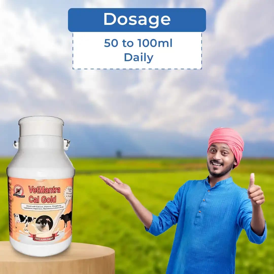 VetMantra Cal Gold - Milk Enhancer for Diary Animals - Image 5