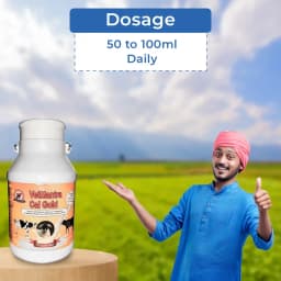 VetMantra Cal Gold - Calcium for Milk Enhancer, Vitamins Mineral Mixture, Best For Milk Enhancer 5