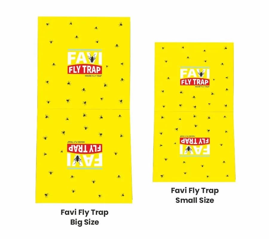 HEDO House Fly Trap (Pack of 10) Glue Trap, Housefly, Insect Trap For Home, Kitchen, Hotels, Bakery Shop, Poultry Flies - Image 3