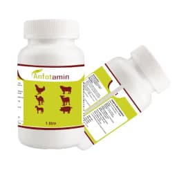 Anfotamin Best Multivitamin for Cow, Buffalo, Horse, Goat, Sheep, Animal Feed Supplements 4