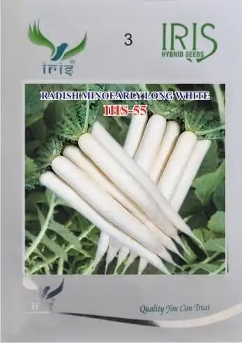 Iris Hybrid Vegetable Seeds, Radish Mino Early White IHS-55, Suitable for Gardening - Image 1