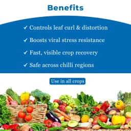 Chilli Special Combo Specially made for Chilli Crop, contains anti viral, anti fungal, flowering & fruiting enhancer, biofertilizer 4