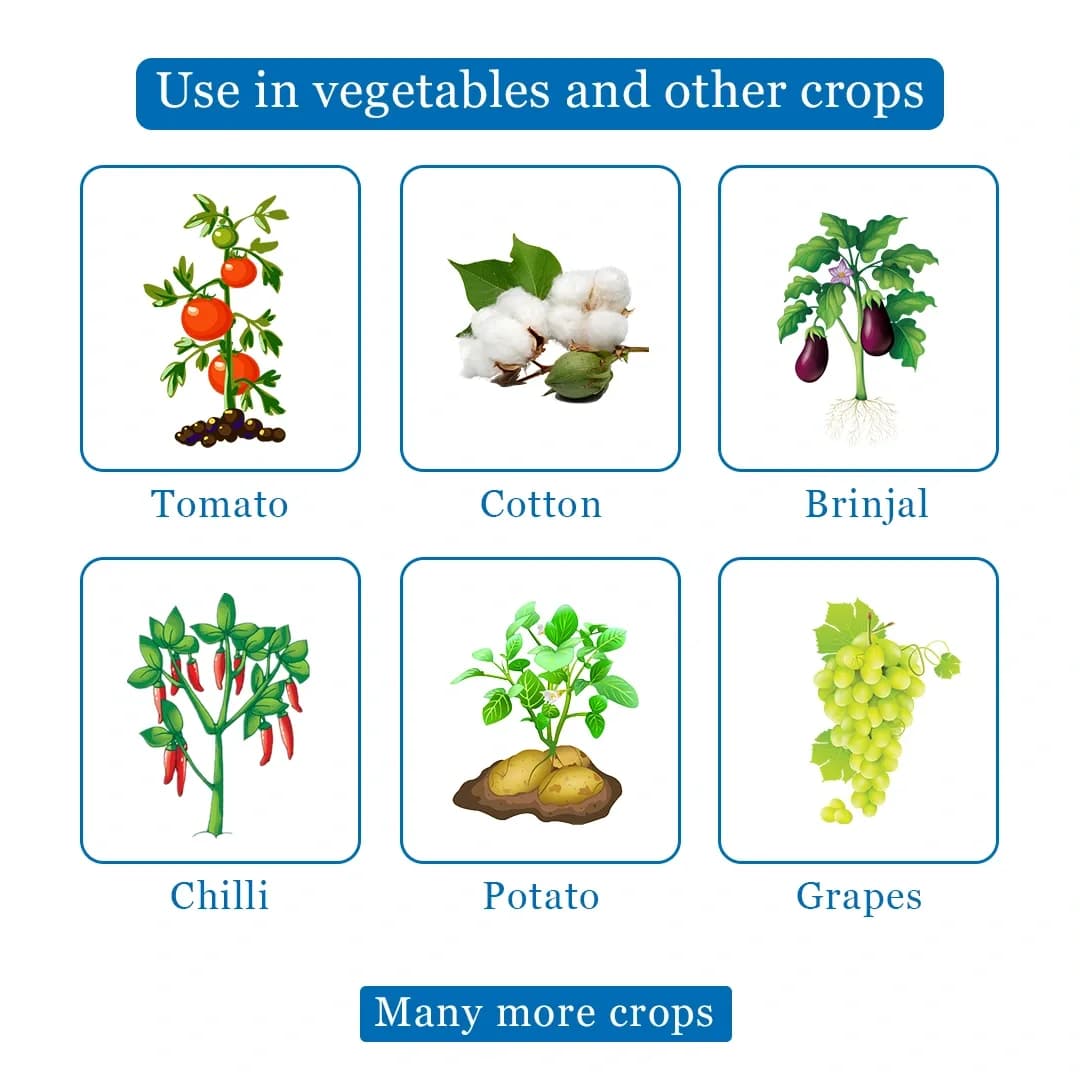 EBS LEGACY-70 Thiophanate Methyl 70% WP Fungicide For Anthracnose, Apple Scab, Powdery Mildew, and Several Leaf Spot Diseases. - Image 4