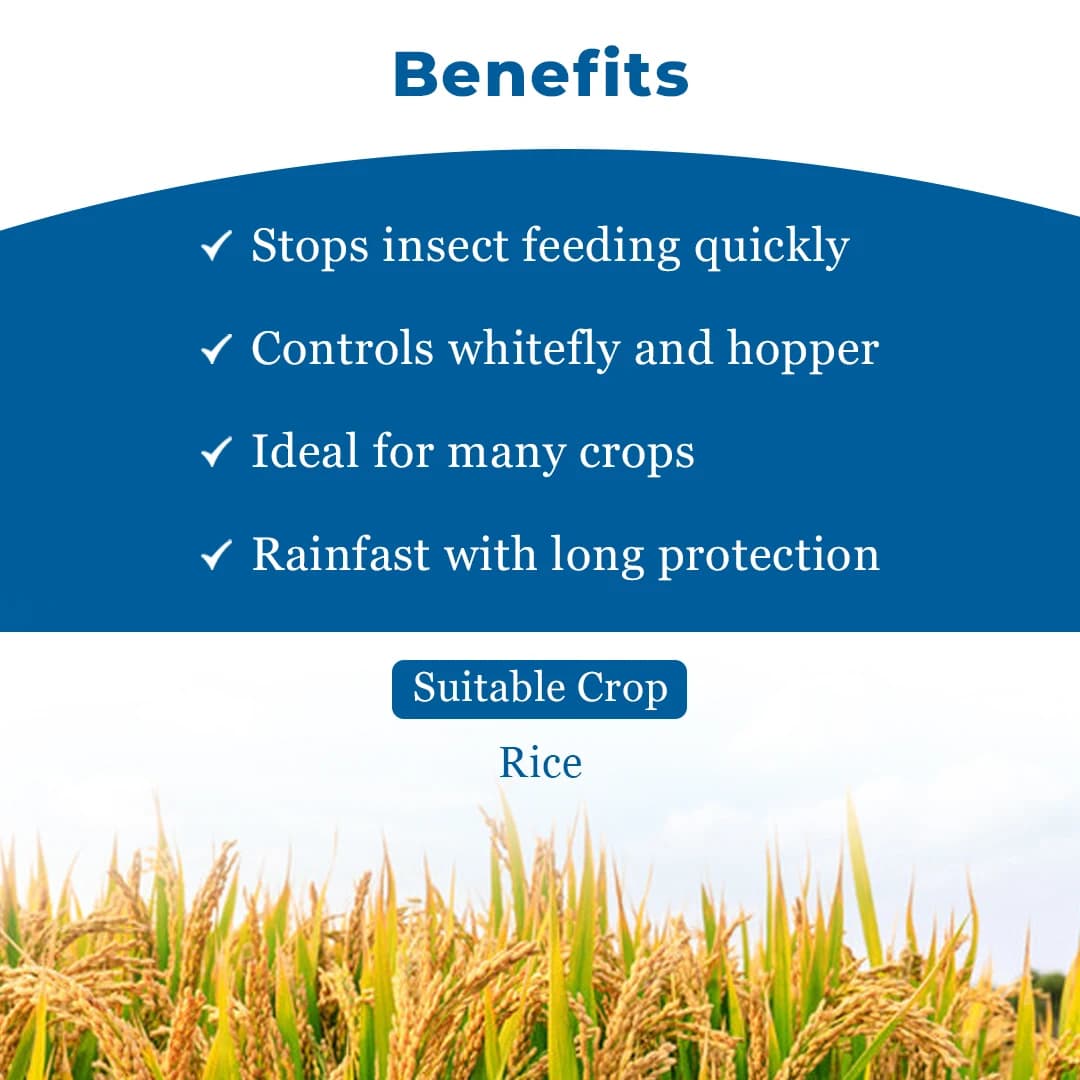 Tata Clue Insecticide - Image 4