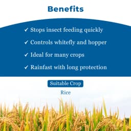 टाटा क्लू पाइमेट्रोज़िन 50% डब्ल्यूजी कीट नाशक, धान में बीपीएच नियंत्रण के लिए प्रभावी समाधान 4