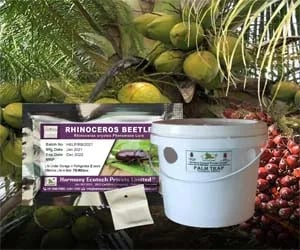 ACTIVE IPM Palm Trap + Rhinocerous Beetle Pheromone Lure (Combo Pack of 4 Sets) Pest Control Tool for Rhinoceros oryctus