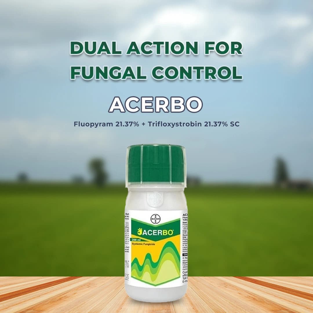 Bayer Acerbo Fungicide - Image 2