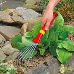 वोल्फ गार्टन छोटे लॉन रेक (LD-2K) - छोटे फूलों के बिस्तरों या बालकनी में गिरे हुए पत्तों और पत्तियों को साफ करने के लिए छोटा सा झाडू 5